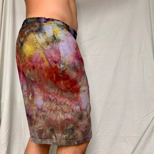 Ice Tie Dyed Champion Shorts